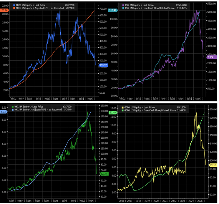 Software Aktien